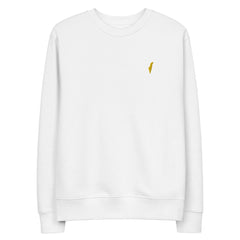 sweatshirt, sweater, israel sweater, israel sweatshirt, jewish sweater, israel emblem sweater, pullover, casual top, fleece sweatshirt, men's sweatshirt, graphic sweatshirt, crew neck sweatshirt, long-sleeve sweatshirt, comfortable sweatshirt for everyday wear, best sweatshirts for cold weather,  zionist sweatshirt, zionist pullover