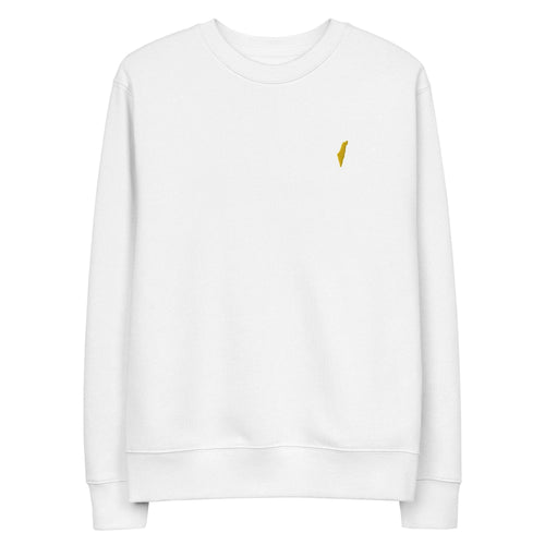 sweatshirt, sweater, israel sweater, israel sweatshirt, jewish sweater, israel emblem sweater, pullover, casual top, fleece sweatshirt, men's sweatshirt, graphic sweatshirt, crew neck sweatshirt, long-sleeve sweatshirt, comfortable sweatshirt for everyday wear, best sweatshirts for cold weather,  zionist sweatshirt, zionist pullover