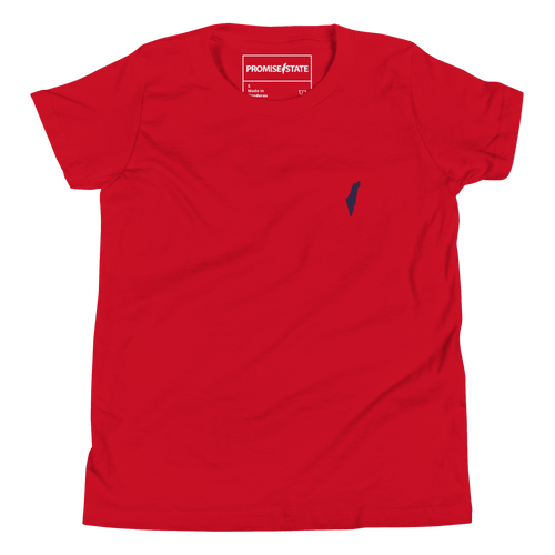 Youth Israeli tee, Jewish t-shirt