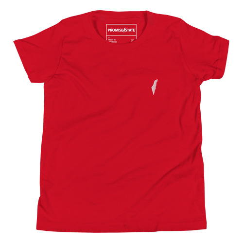 red childrens israel tee-shirt