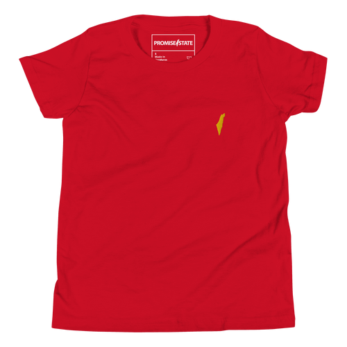 Israeli t-shirt, kids jewish shirt