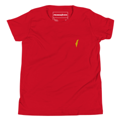 Israeli t-shirt, kids jewish shirt