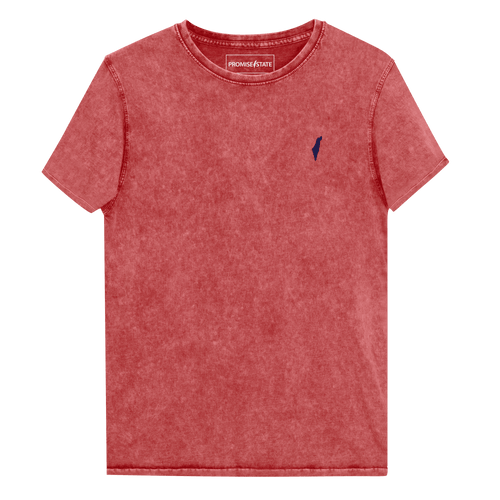 Yom hatzmaut, T-shirt, tee, shirt, isarelite clothing, streetwear, bar mitzvah, judaica, graphic tees, graphic tee, graphic shirt, judaica shop, modern culture apparel, jewish gift for men, clothing, Israel gift, israel tee, zionist shirt, bar mitzvah shirt, modern judaica, palestine shirt, palestine tee, zionist shirt, zionist tee