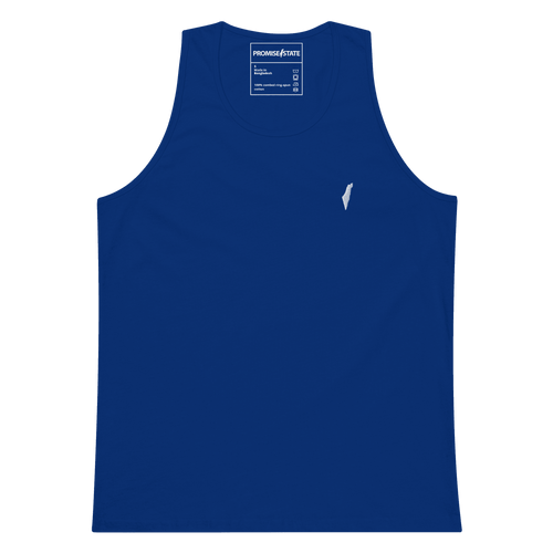 yom hatzmaut, yom hazikaron, hanukah, mens gift, jewish gift, israel flag, israel colors, israel colours, sleeveless top