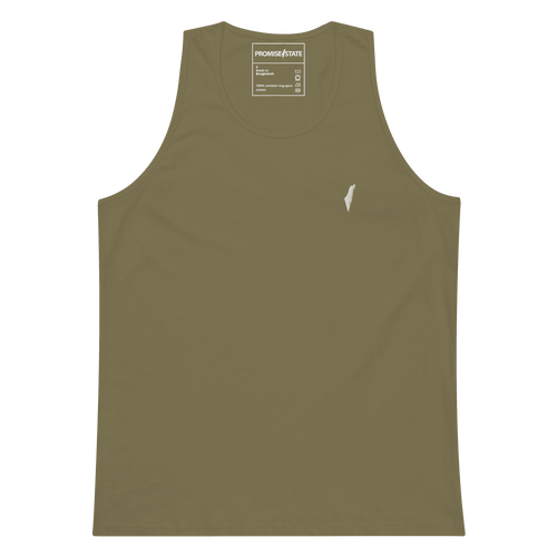 jewish gift for men, essential, jewish clothing, israel clothing, premium clothing, new tee shirt, ralph lauren, lacoste, brooks brother, tommy hillfiger