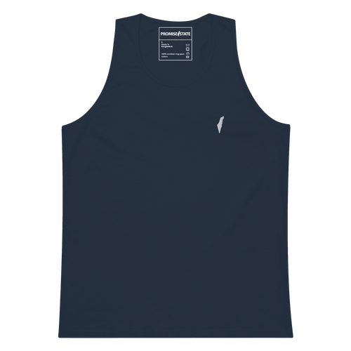 Israel t-shirt, map of israel, land of israel, jewish gifts, purim gifts