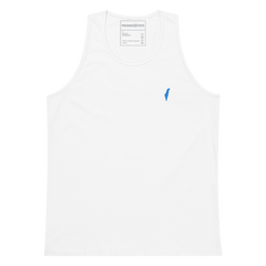 yom hatzmaut, israel colors, israel flag, right to exist, holocaust, holocaust rememberence