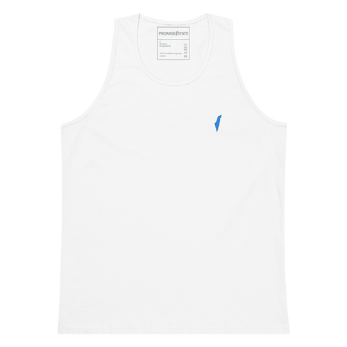 yom hatzmaut, israel colors, israel flag, right to exist, holocaust, holocaust rememberence