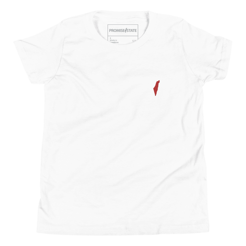 Childrens israel white tee, youth tee