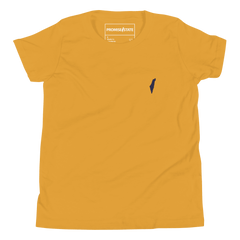 Israel, jewish, t-shirt