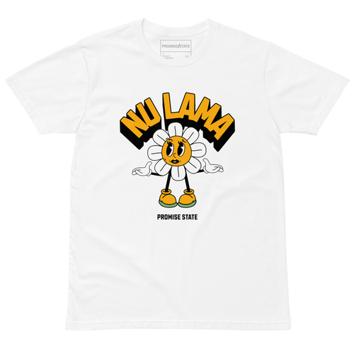 Tel-Aviv, Jerusalem, Bet shemesh, Ranana, Modiin, Carmei Gat, Rosh Hashana 2025, Rosh Hashana 2026, Purim 2026, Hanukkah 2025, Graphic tee, Graphic shirt, Graphic t-shirt, Promise State, מדינה מבטיחה, פרומיס  פרומיס סטייט, פרמיס סטייט, Nu lama, pray, aish, Olami, birthright, masa, Israel Experience, aepi, aipac, jews, jewish gift, jewish present, judaica