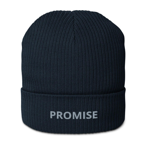 Israel beanie, israel hat, israel ski-hat, israel dad hat, beanie, ski hat, hat, israel blue, torah, jewish gift, new hat, new beanie, winter, snow hat, winter hat