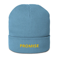 Israel beanie, israel hat, israel ski-hat, israel dad hat, beanie, ski hat, hat, israel blue, torah, jewish gift, new hat, new beanie, winter, snow hat, winter hat