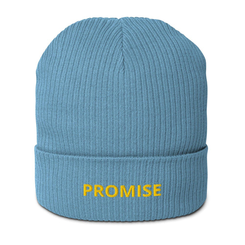 Israel beanie, israel hat, israel ski-hat, israel dad hat, beanie, ski hat, hat, israel blue, torah, jewish gift, new hat, new beanie, winter, snow hat, winter hat