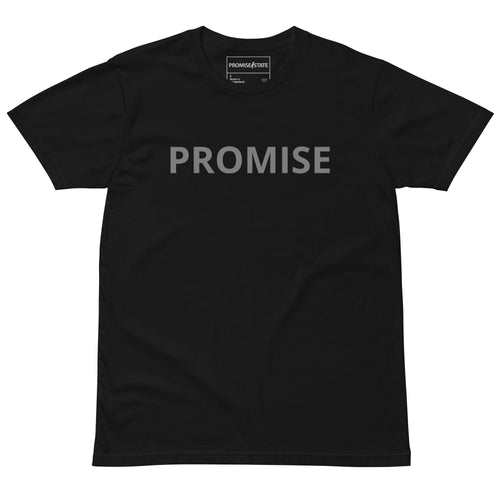 Tel-Aviv, Jerusalem, Bet shemesh, Ranana, Modiin, Carmei Gat, Rosh Hashana 2025, Rosh Hashana 2026, Purim 2026, Hanukkah 2025, Graphic tee, Graphic shirt, Graphic t-shirt, Promise State, מדינה מבטיחה, פרומיס  פרומיס סטייט, פרמיס סטייט, Nu lama, pray, aish, Olami, birthright, masa, Israel Experience, aepi, aipac, jews, jewish gift, jewish present, judaica, bring them home, hostages, free the hostages, yellow ribbon, star of david