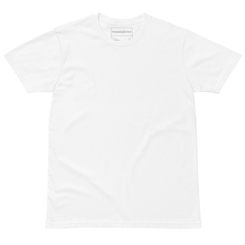 Tel-Aviv, Jerusalem, Bet shemesh, Ranana, Modiin, Carmei Gat, Rosh Hashana 2025, Rosh Hashana 2026, Purim 2026, Hanukkah 2025, Graphic tee, Graphic shirt, Graphic t-shirt, Promise State, מדינה מבטיחה, פרומיס  פרומיס סטייט, פרמיס סטייט, Nu lama, pray, aish, Olami, birthright, masa, Israel Experience, aepi, aipac, jews, jewish gift, jewish present, judaica, bring them home, hostages, free the hostages, yellow ribbon, star of david