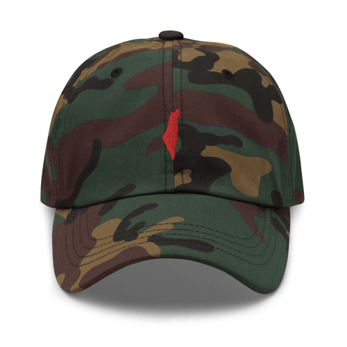 Promise hat, promise state hat, promise state israel hat, jewish hat, zionist hat, hebrew hat, hamsa hat, tel-aviv hat, jerusalem hat, chabad hat, promise hat, israel cap, jewish cap, hamsa cap, zionist cap, israel dad hat, israel sports hat, sports cap, israel sports cap, cotton hat, cotton twill, baseball hat, palestine hat, palestine cap, palestine, gaza hat, baseball cap, israel baseball cap, israel baseball hat, zionist baseball hat, jewish baseball cap, cap, hat