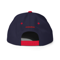 Classic Snap Back