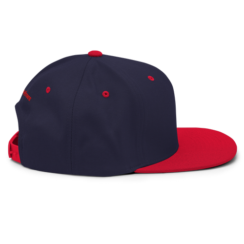 Classic Snap Back