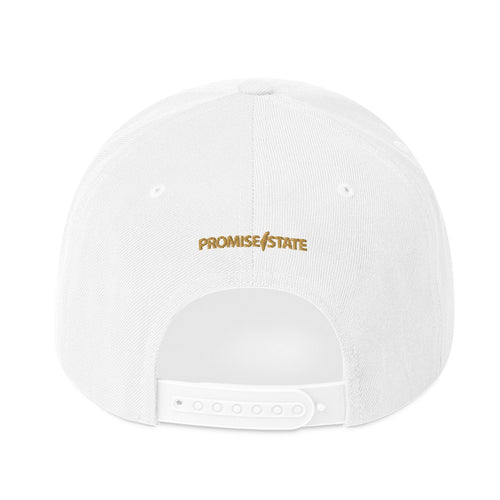 Classic Snap Back