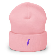 Promise State beanie
