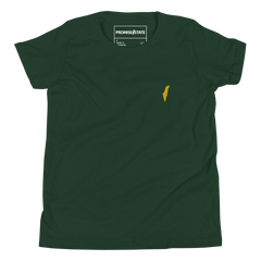 kids Israel shirt, jewish shirt