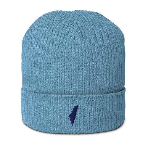 Promise State Beanie