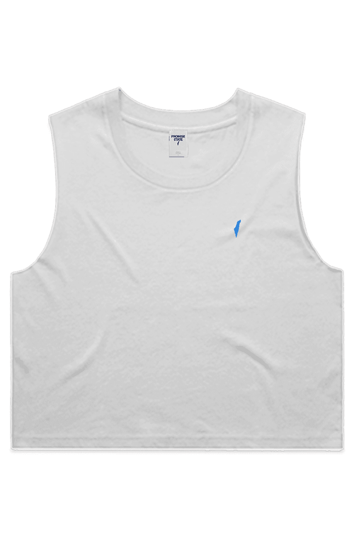 Israel blue and white sleeveless crop top