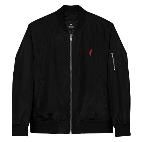 Pomise State, winter coat, winter jacket, israel coat, israel jacket, zionist coat, zionist jacket, israel bomber, zionist bomber, jewish bomber, palestine coat, palestine jacket, windproof, waterproof, warm jacket, casual jacket, formal jacket, aviation jacket, recycled, eco-friendly,sustainable