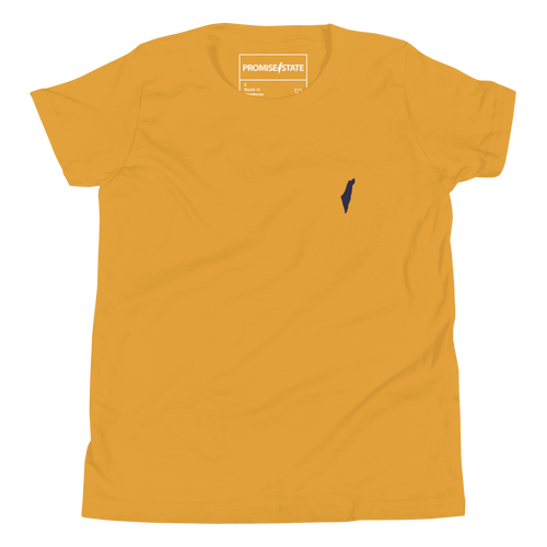 Israel, jewish, t-shirt